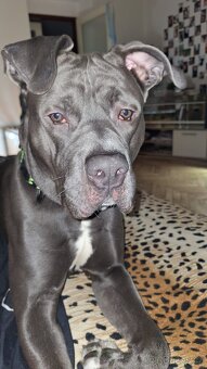 Daruji pouze do dobrých rukou - 2