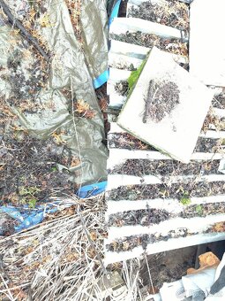 Trapézové plechy - 2