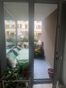 Paletové sezení - 2