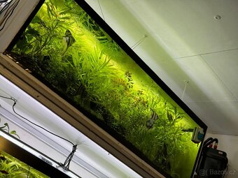 Akvárium 2x450l - 2