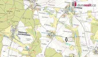 Prodej energetické plantáže rychlerostoucích dřevin 7 652 m2 - 2