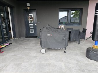 Weber performance gril - 2