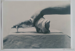 Rámovaná autorská fotografie 15x21 cm Jan Tesař - 2