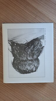 Portrét Bolka Polívky 1987 - 2