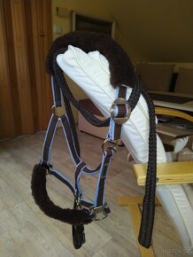 Ohlavka eskadron - 2