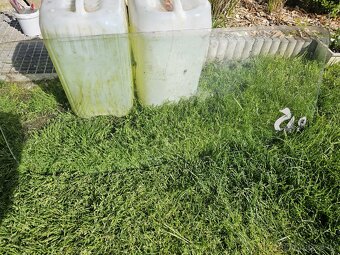 Zadní sklo Škoda 1000MB - 2