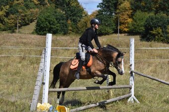 První pony pro děti - 2