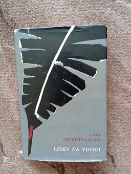 Lišky na viníci - 2