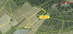 Prodej pole, ostatní plocha, les 21407 m², Mochtín-Kocourov - 2