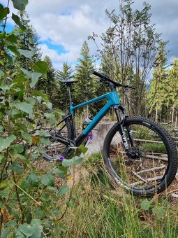 Focus Raven 8.8 - 2