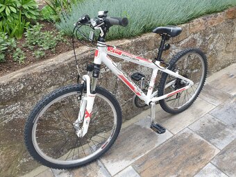 Kolo Leader Fox 24, Al - 2