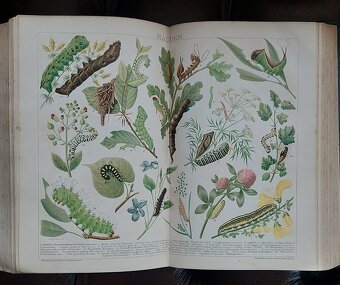 Brockhaus konversations lexikon 13 dilů - 2