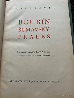 Šumavský prales od Josefa Pavla - 2