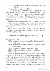 FR. DANIELKA - VZORNÉ ŘEZNICTVÍ A UZENÁŘSTVÍ - 2