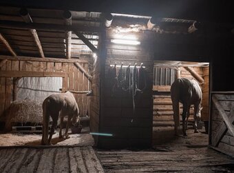 Ustájení u Přerova - 2