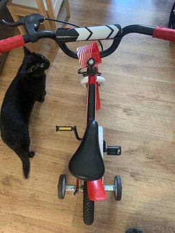 Dětské kolo Swan - 2