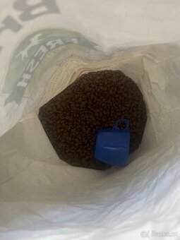 Granule pro psa Brit Fresh - 2