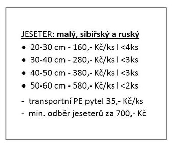 Prodám Jesetery: malý, sibiřský a ruský - 2
