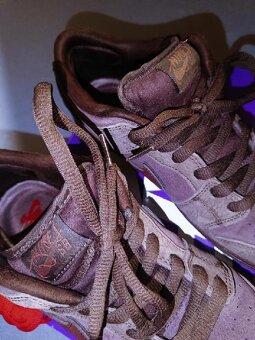 Nike SB Dunk Low Premium - 2