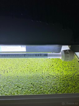 Prodám akvárium Juwel Lido 120 LED bílé - 2