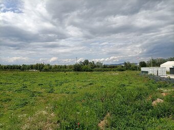 Prodej kom. pozemků v PZ, 8.167 m2 a 9.651 m2 , Mohelnice - 2