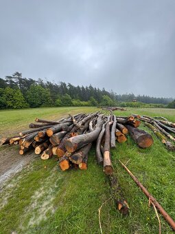 Palivové dřevo tvrdé - 2