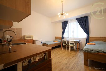 Pronájem bytu 1kk 24 m², Antonínská, Brno – střed. Sklep. - 2