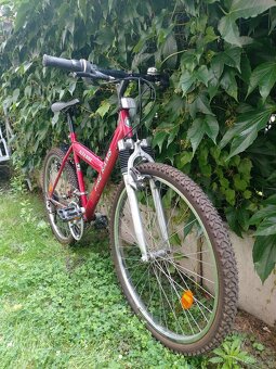 Alfa Bike - 2