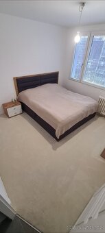 Koberec - 2