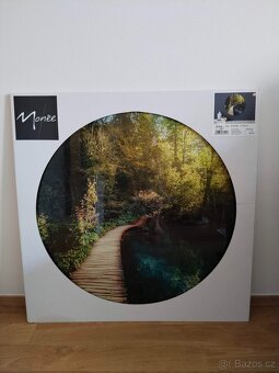 Obraz - skleněný, 70 cm, nový. - 2