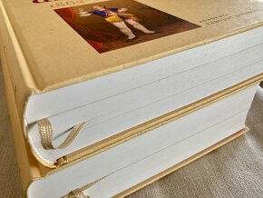 Prozatímní divadlo I.+II. - 2