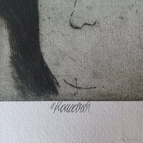 Vladimír Komárek autoportret - 2