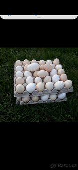 Domácí vajička - 2