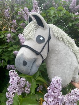 Hobby horse - 2