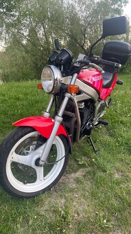 Suzuki GS500E - 2