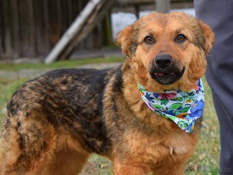 EILYN K ADOPCI - 1 ROK, KLIDNÁ, ODDANÁ, MILÁ - 2