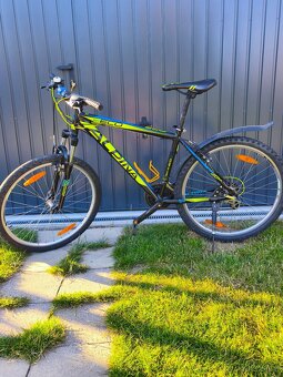 Jízdní horske Kolo Alpina eco M20 26" black/lime - 2