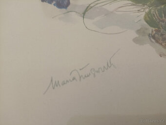 Květiny - Maria Jungwirth - 2