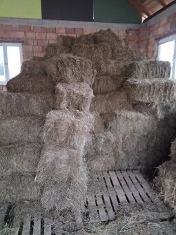 Seno- malé balíky - 2