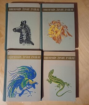 Knihy - beletrie sleva 60% (10) - 2