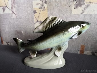 Royal dux ryba lipan top - 2