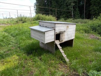 PEKNY KURNIK PRO 10-15 SLEPIC - 2