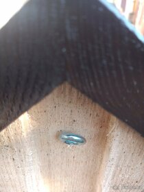 Hmyzí hotely- masivní bukové dřevo, ruční výroba, EKO-nátěr - 2