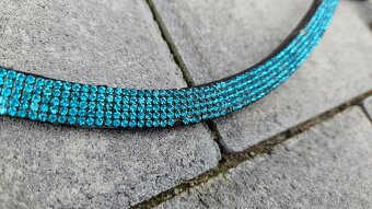 Čelenka tyrkysová - 2