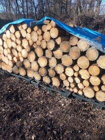 Palivové dřevo suché špalky 39cm - 2