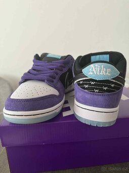 Hayley Wilson x Dunk Low SB Pro "Black/Court Purple" - 2