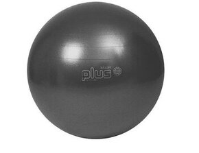 Gymnic PLUS - gymnastický míč (vhodné i pro těhulky) - 2