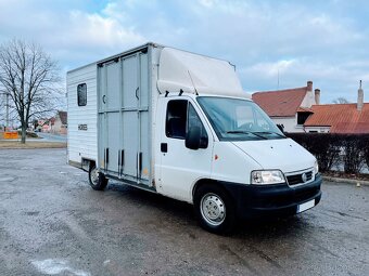Pronájem autopřepravníku pro dva koně s kamerou na řp. sk. B - 2