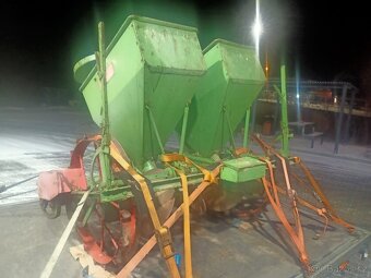 Pěkná sazecka brambor Hasia - 2