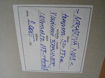 OBRAZ Vladimíra Braunera "MRAZIVÁ NOC" - 2